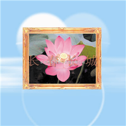 反射光栅立体画