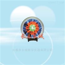 EXD-33大型辉光盘